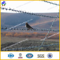 Galvanized Barbed Iron Wire (HPRW-0606)